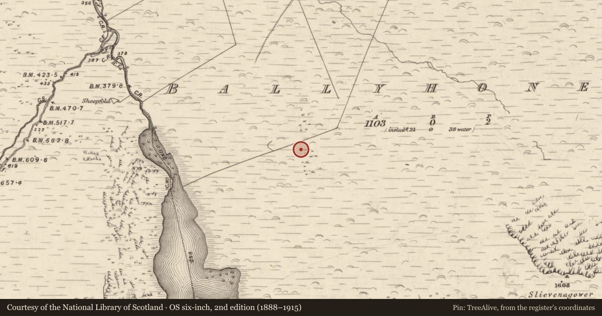 Ordnance Survey six-inch map, 2nd edition (1888–1915) covering the location of Hut site, Baile Uí Uaithnín, County Kerry, with a pin at the register's coordinates