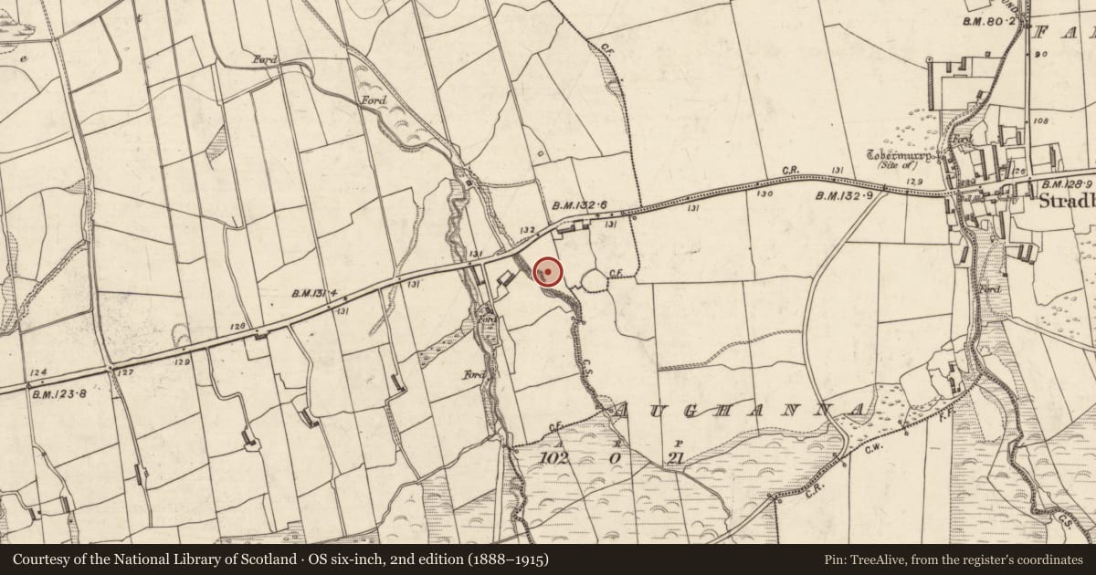 Ordnance Survey six-inch map, 2nd edition (1888–1915) covering the location of Souterrain, Gowlane, County Kerry, with a pin at the register's coordinates