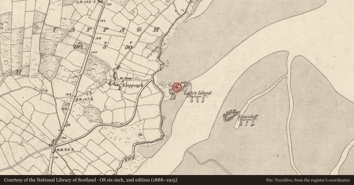 Ordnance Survey six-inch map, 2nd edition (1888–1915) covering the location of Burial ground, An Cheapaigh, County Kerry, with a pin at the register's coordinates