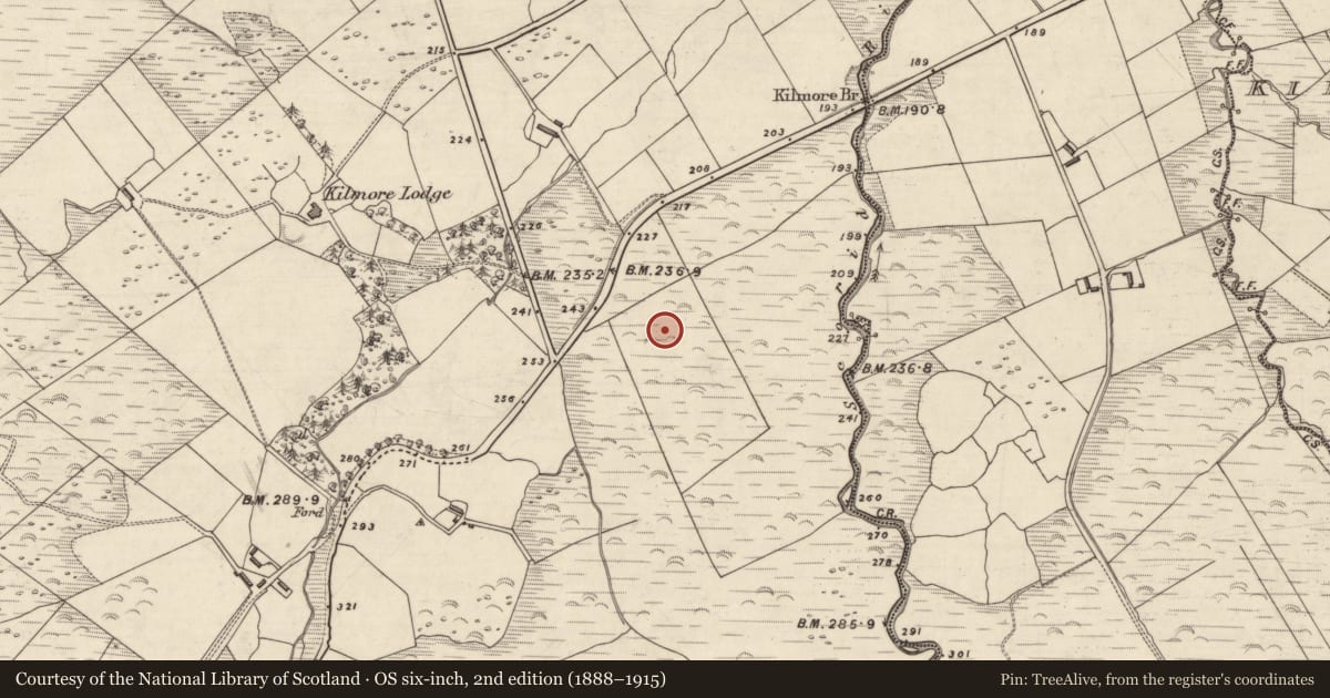 Ordnance Survey six-inch map, 2nd edition (1888–1915) covering the location of Rock art, An Choill Mhór (Bar. Corca Dhuibhne), County Kerry, with a pin at the register's coordinates