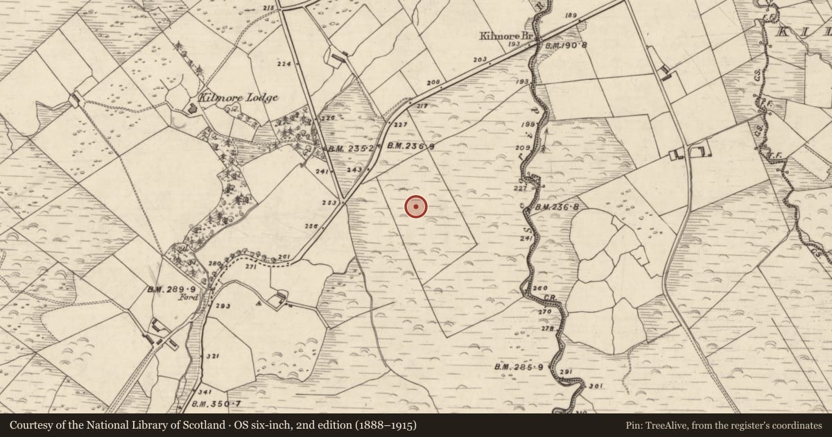 Ordnance Survey six-inch map, 2nd edition (1888–1915) covering the location of Rock art, An Choill Mhór (Bar. Corca Dhuibhne), County Kerry, with a pin at the register's coordinates