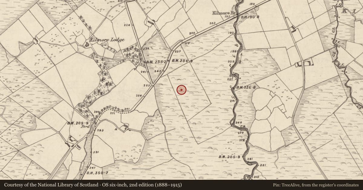 Ordnance Survey six-inch map, 2nd edition (1888–1915) covering the location of Rock art, An Choill Mhór (Bar. Corca Dhuibhne), County Kerry, with a pin at the register's coordinates