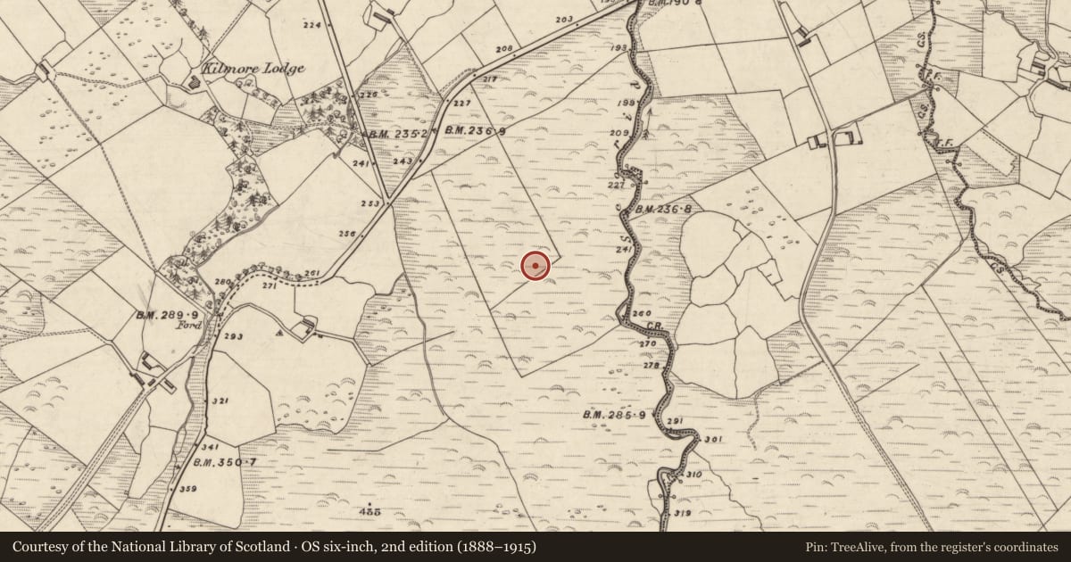 Ordnance Survey six-inch map, 2nd edition (1888–1915) covering the location of Rock art, An Choill Mhór (Bar. Corca Dhuibhne), County Kerry, with a pin at the register's coordinates