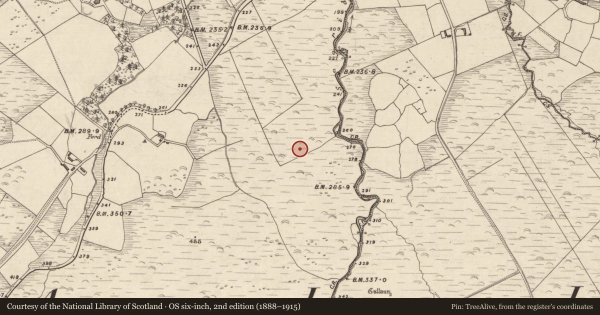 Ordnance Survey six-inch map, 2nd edition (1888–1915) covering the location of Rock art, An Choill Mhór (Bar. Corca Dhuibhne), County Kerry, with a pin at the register's coordinates