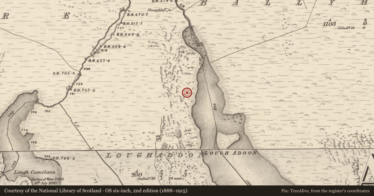 Ordnance Survey six-inch map, 2nd edition (1888–1915) covering the location of Rock art, Loch An Dúin, County Kerry, with a pin at the register's coordinates