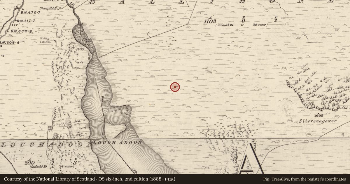Ordnance Survey six-inch map, 2nd edition (1888–1915) covering the location of Rock art, Baile Uí Uaithnín, County Kerry, with a pin at the register's coordinates