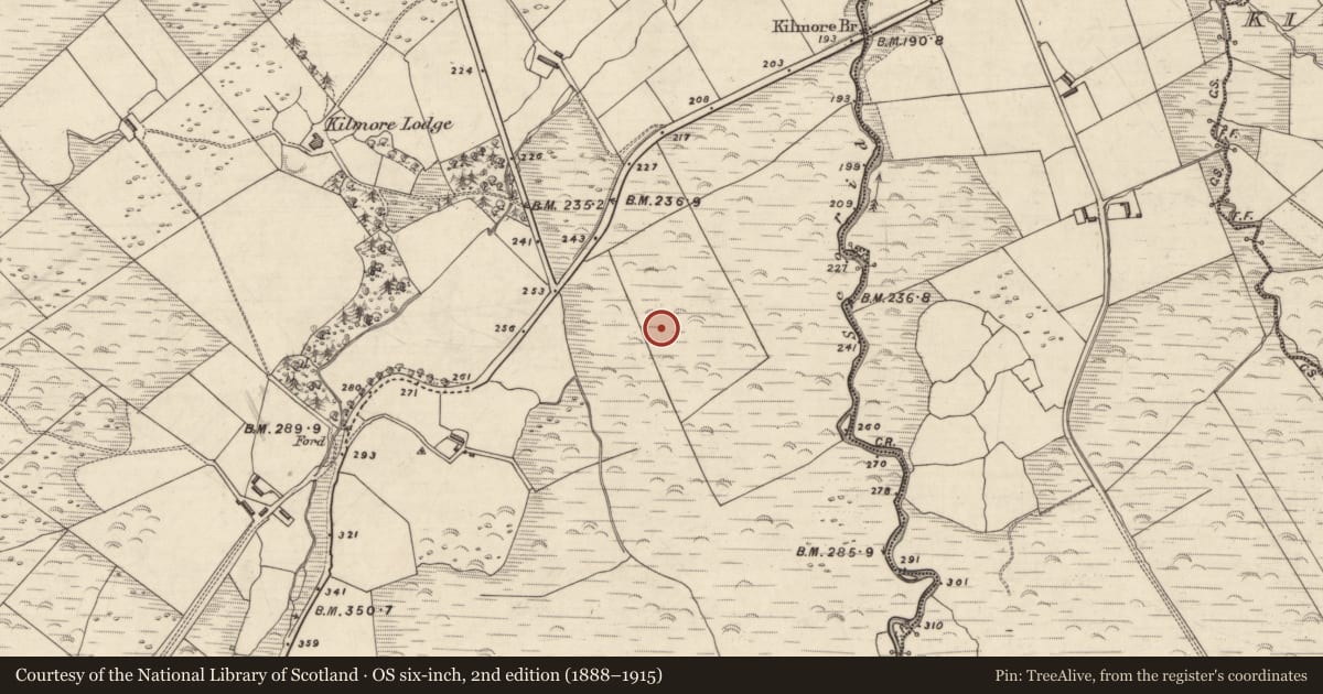 Ordnance Survey six-inch map, 2nd edition (1888–1915) covering the location of Rock art, An Choill Mhór (Bar. Corca Dhuibhne), County Kerry, with a pin at the register's coordinates