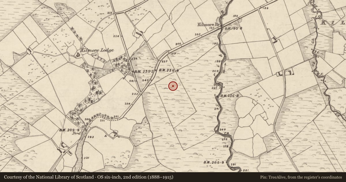 Ordnance Survey six-inch map, 2nd edition (1888–1915) covering the location of Rock art, An Choill Mhór (Bar. Corca Dhuibhne), County Kerry, with a pin at the register's coordinates