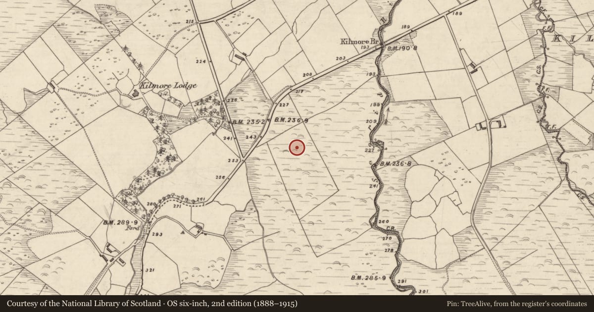 Ordnance Survey six-inch map, 2nd edition (1888–1915) covering the location of Rock art, An Choill Mhór (Bar. Corca Dhuibhne), County Kerry, with a pin at the register's coordinates