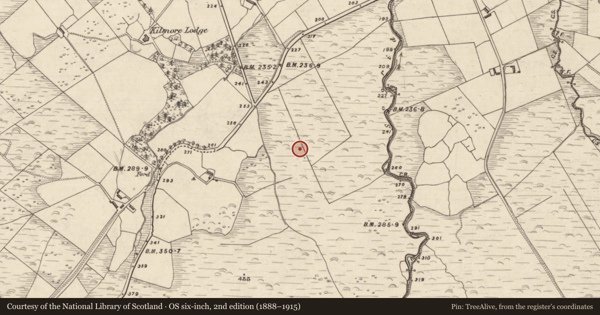 Ordnance Survey six-inch map, 2nd edition (1888–1915) covering the location of Rock art, An Choill Mhór (Bar. Corca Dhuibhne), County Kerry, with a pin at the register's coordinates
