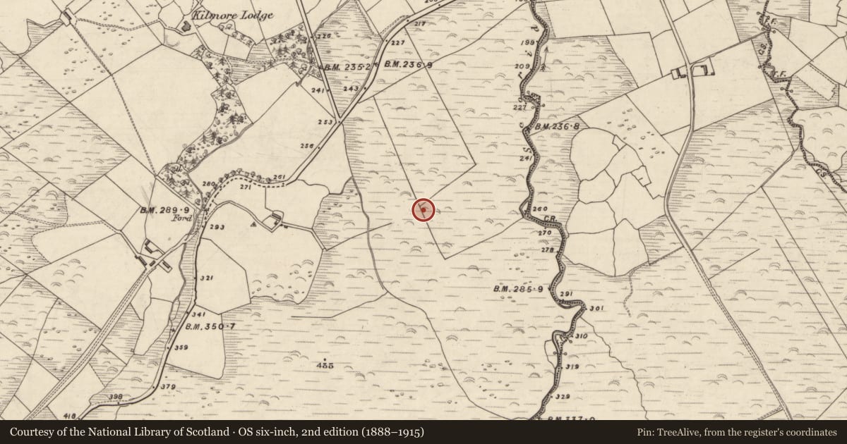 Ordnance Survey six-inch map, 2nd edition (1888–1915) covering the location of Rock art, An Choill Mhór (Bar. Corca Dhuibhne), County Kerry, with a pin at the register's coordinates