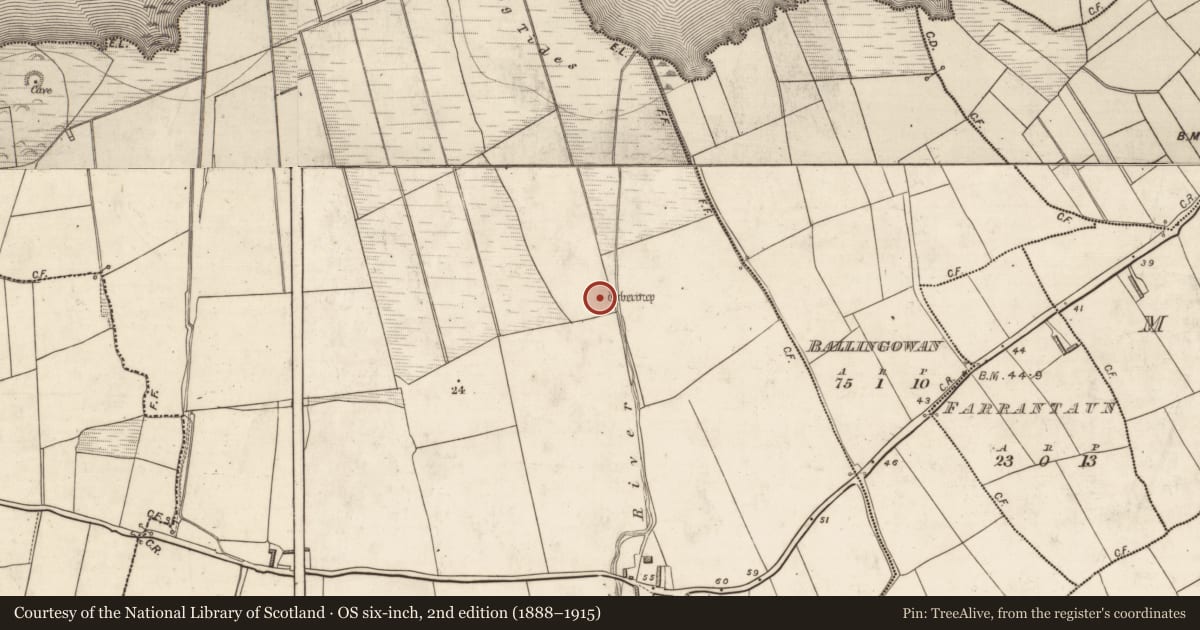 Ordnance Survey six-inch map, 2nd edition (1888–1915) covering the location of Ritual site - holy well, Killiney, County Kerry, with a pin at the register's coordinates