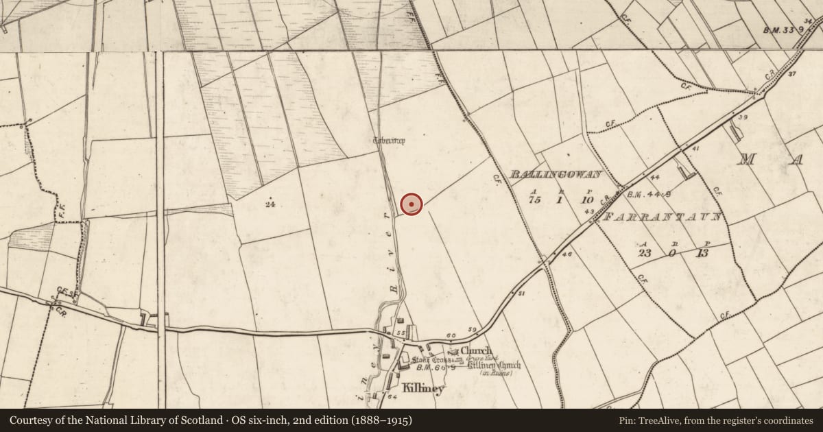 Ordnance Survey six-inch map, 2nd edition (1888–1915) covering the location of Standing stone, Killiney, County Kerry, with a pin at the register's coordinates