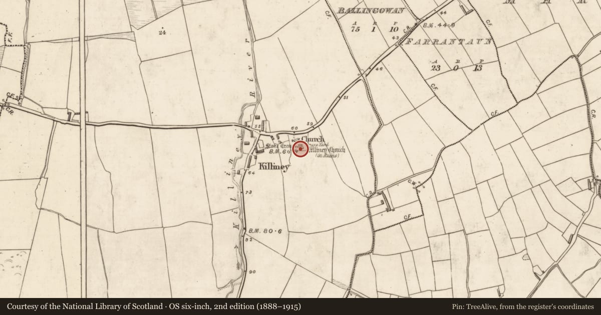 Ordnance Survey six-inch map, 2nd edition (1888–1915) covering the location of Cross - High cross, Killiney, County Kerry, with a pin at the register's coordinates