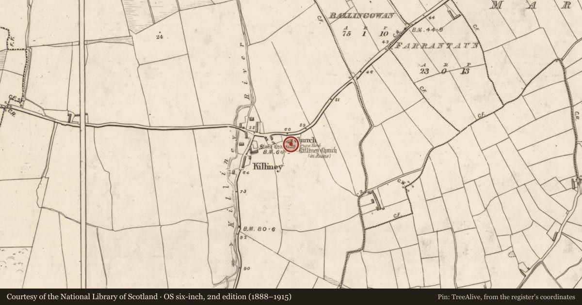Ordnance Survey six-inch map, 2nd edition (1888–1915) covering the location of Bullaun stone, Killiney, County Kerry, with a pin at the register's coordinates