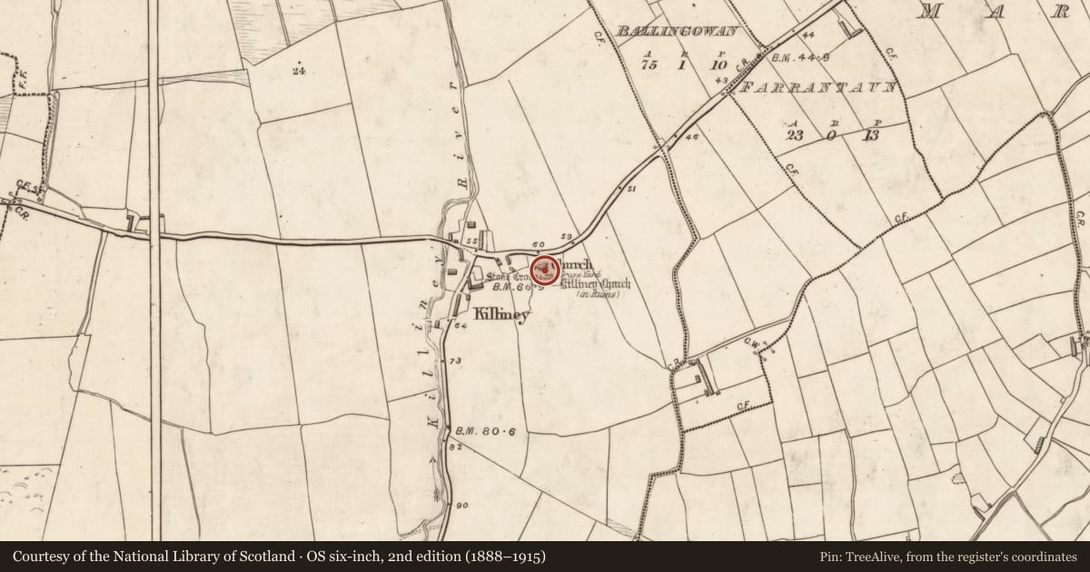 Ordnance Survey six-inch map, 2nd edition (1888–1915) covering the location of Font, Killiney, County Kerry, with a pin at the register's coordinates