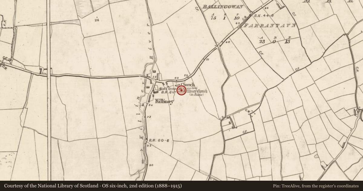 Ordnance Survey six-inch map, 2nd edition (1888–1915) covering the location of Castle - tower house, Killiney, County Kerry, with a pin at the register's coordinates