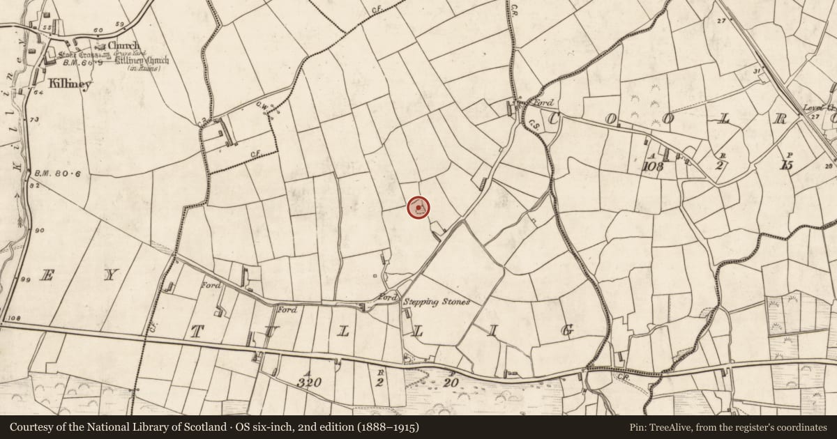 Ordnance Survey six-inch map, 2nd edition (1888–1915) covering the location of Children's burial ground, Tullig, County Kerry, with a pin at the register's coordinates