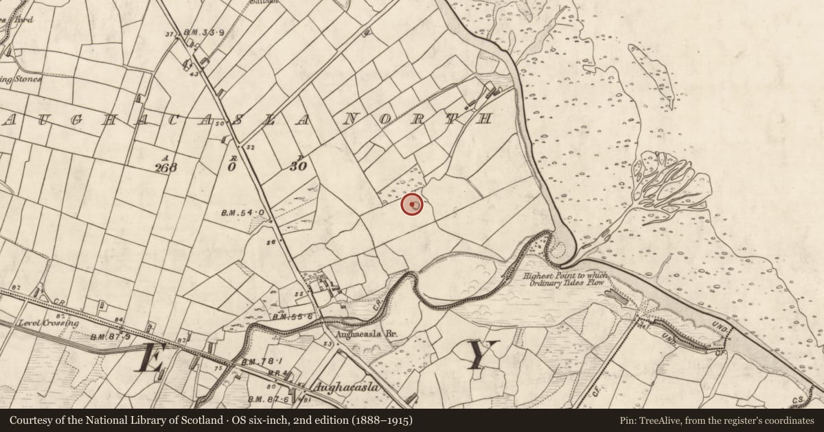 Ordnance Survey six-inch map, 2nd edition (1888–1915) covering the location of Ringfort - cashel, Aughacasla North, County Kerry, with a pin at the register's coordinates