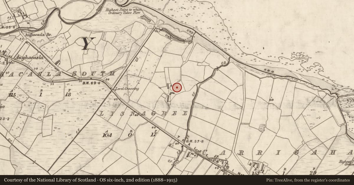 Ordnance Survey six-inch map, 2nd edition (1888–1915) covering the location of Ringfort - rath, Lisnagree, County Kerry, with a pin at the register's coordinates