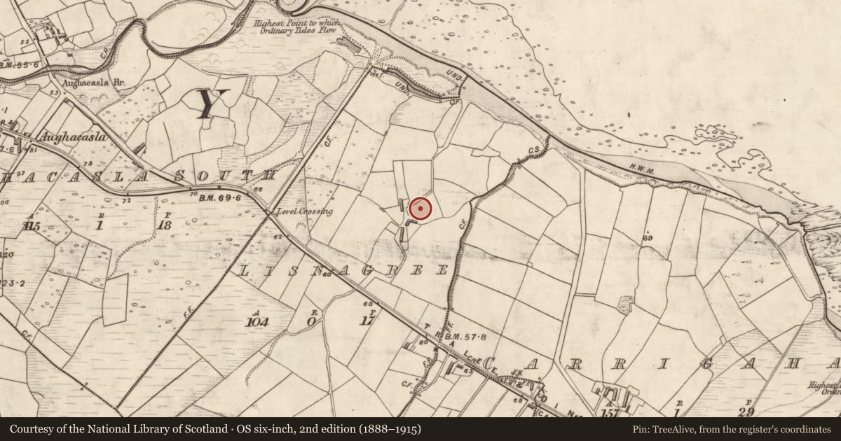 Ordnance Survey six-inch map, 2nd edition (1888–1915) covering the location of Souterrain, Lisnagree, County Kerry, with a pin at the register's coordinates