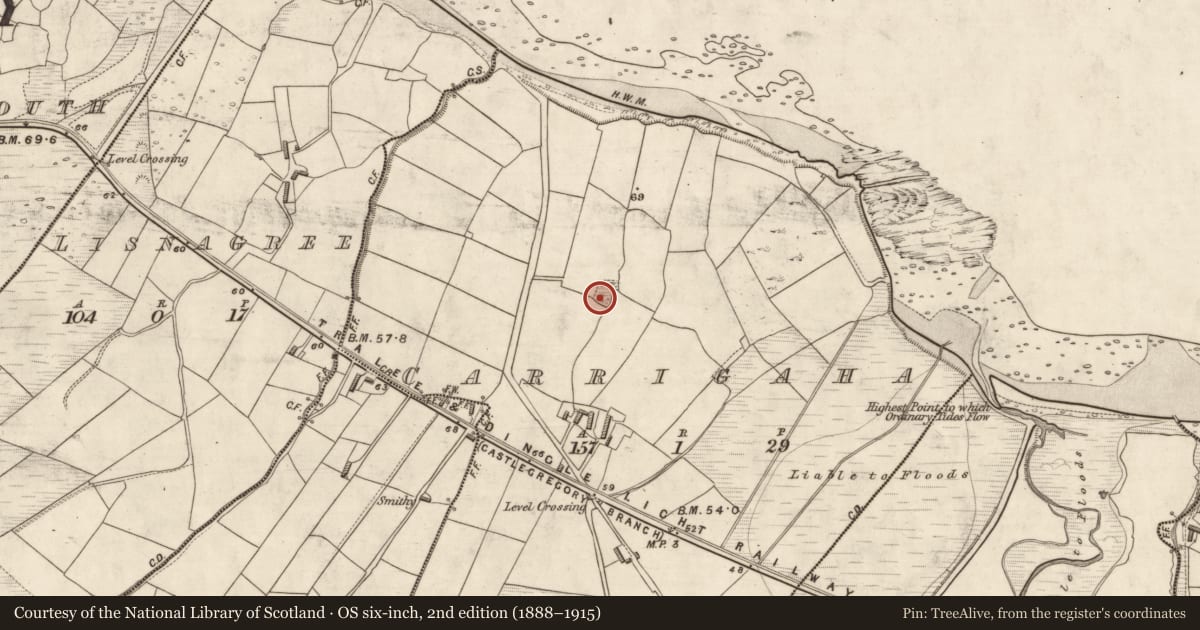Ordnance Survey six-inch map, 2nd edition (1888–1915) covering the location of Ringfort - cashel, Carrigaha, County Kerry, with a pin at the register's coordinates