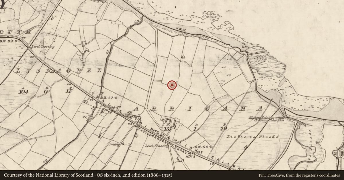 Ordnance Survey six-inch map, 2nd edition (1888–1915) covering the location of Hut site, Carrigaha, County Kerry, with a pin at the register's coordinates
