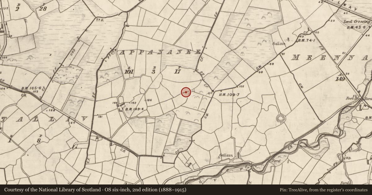 Ordnance Survey six-inch map, 2nd edition (1888–1915) covering the location of Hut site, Cappananee, County Kerry, with a pin at the register's coordinates