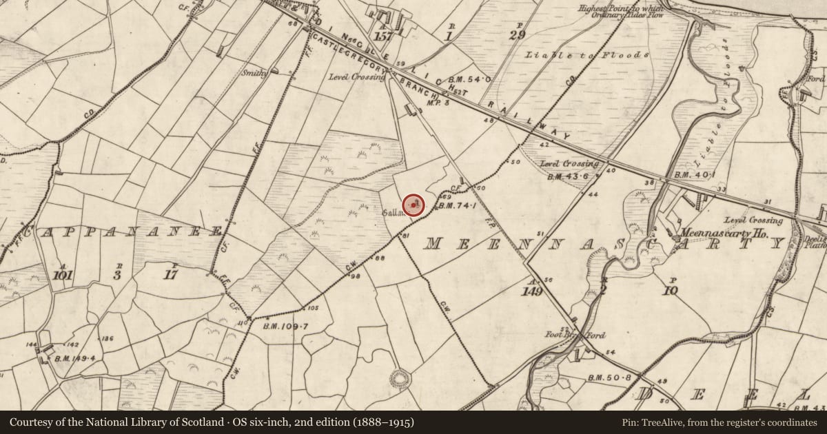 Ordnance Survey six-inch map, 2nd edition (1888–1915) covering the location of Cross-inscribed stone, Carrigaha, County Kerry, with a pin at the register's coordinates