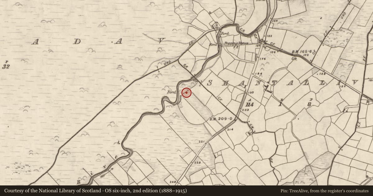 Ordnance Survey six-inch map, 2nd edition (1888–1915) covering the location of Ringfort - cashel, Coill Bhaile Uí Fhlaithimh, County Kerry, with a pin at the register's coordinates