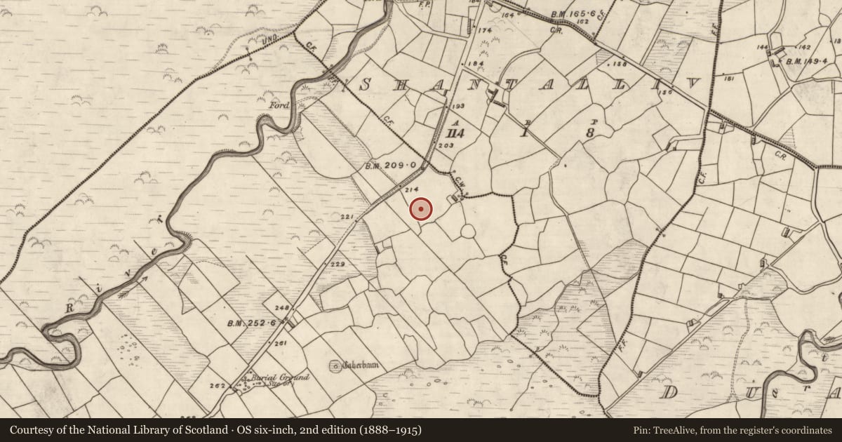 Ordnance Survey six-inch map, 2nd edition (1888–1915) covering the location of Mound, Coill Bhaile Uí Fhlaithimh, County Kerry, with a pin at the register's coordinates