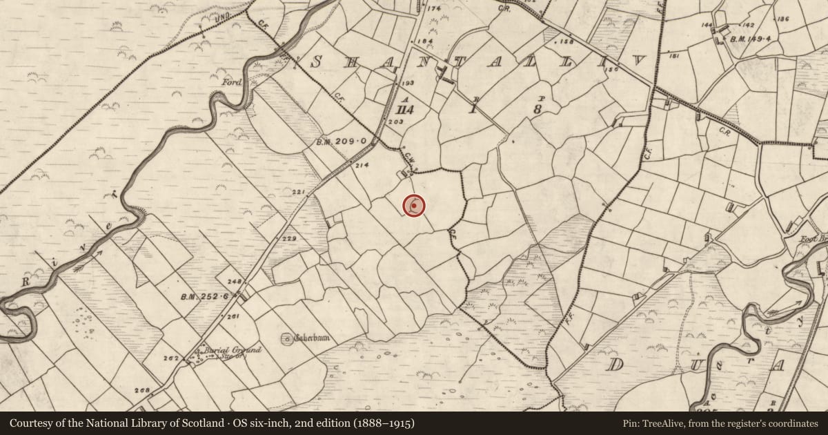 Ordnance Survey six-inch map, 2nd edition (1888–1915) covering the location of Ringfort - cashel, Coill Bhaile Uí Fhlaithimh, County Kerry, with a pin at the register's coordinates