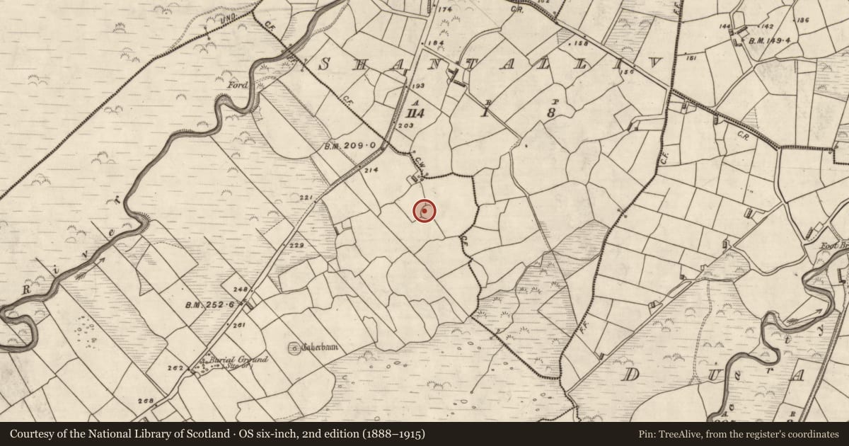 Ordnance Survey six-inch map, 2nd edition (1888–1915) covering the location of Clochan, Coill Bhaile Uí Fhlaithimh, County Kerry, with a pin at the register's coordinates
