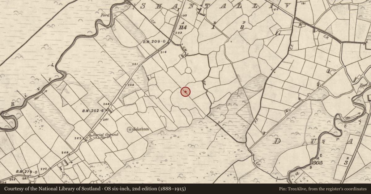 Ordnance Survey six-inch map, 2nd edition (1888–1915) covering the location of Cairn - unclassified, Coill Bhaile Uí Fhlaithimh, County Kerry, with a pin at the register's coordinates