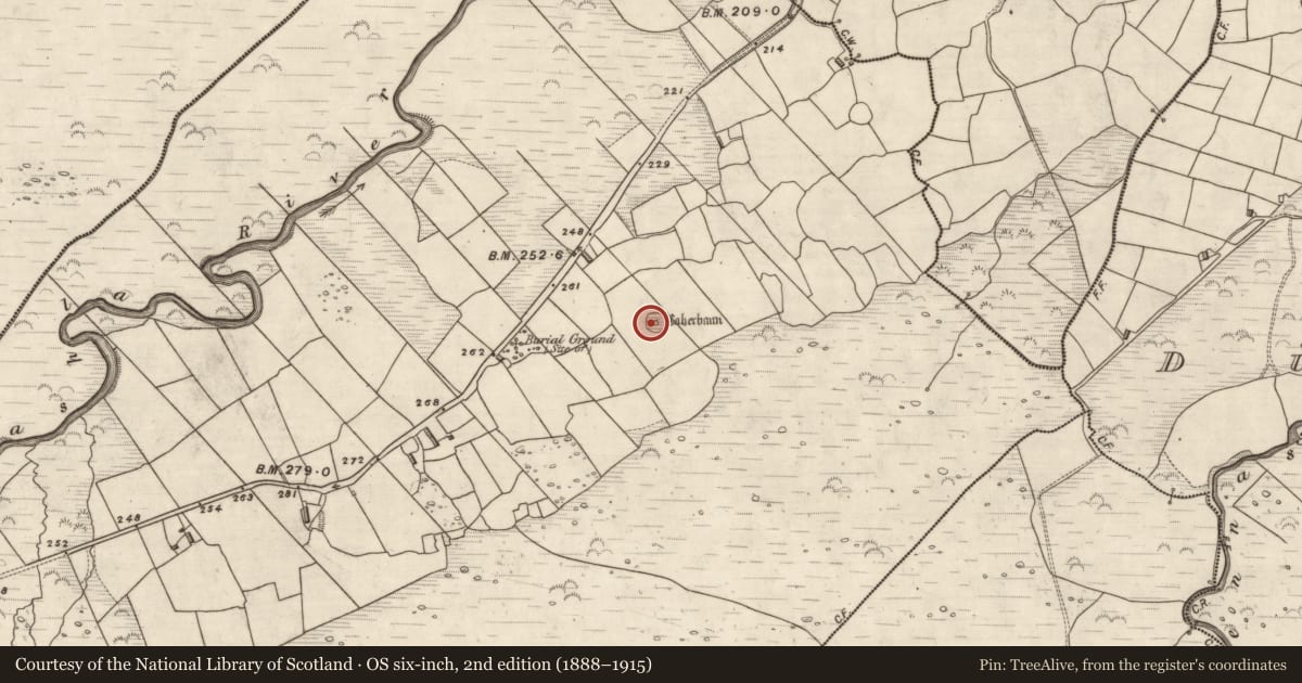 Ordnance Survey six-inch map, 2nd edition (1888–1915) covering the location of Ringfort - cashel, Coill Bhaile Uí Fhlaithimh, County Kerry, with a pin at the register's coordinates