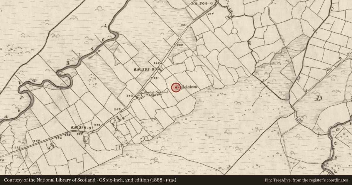 Ordnance Survey six-inch map, 2nd edition (1888–1915) covering the location of House - indeterminate date, Coill Bhaile Uí Fhlaithimh, County Kerry, with a pin at the register's coordinates