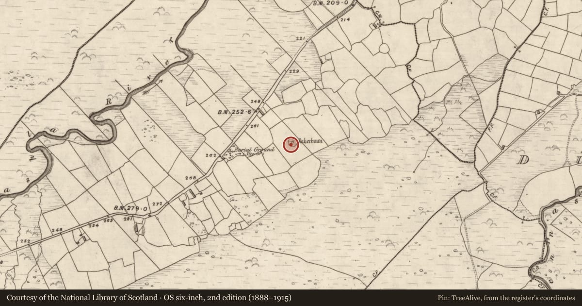 Ordnance Survey six-inch map, 2nd edition (1888–1915) covering the location of House - indeterminate date, Coill Bhaile Uí Fhlaithimh, County Kerry, with a pin at the register's coordinates