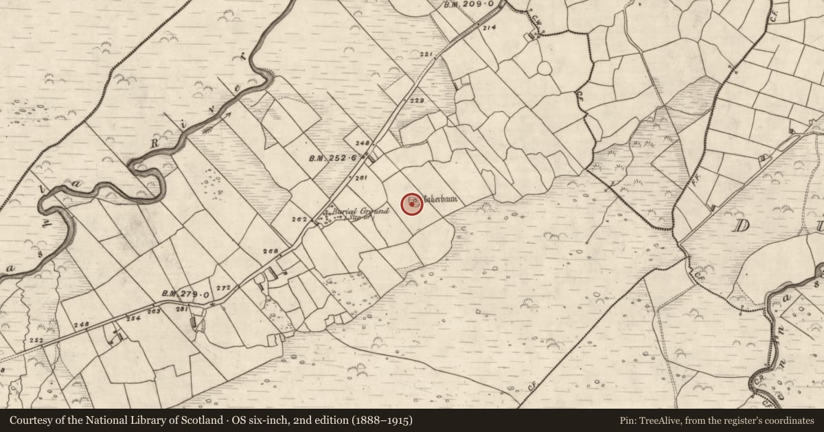 Ordnance Survey six-inch map, 2nd edition (1888–1915) covering the location of Souterrain, Coill Bhaile Uí Fhlaithimh, County Kerry, with a pin at the register's coordinates