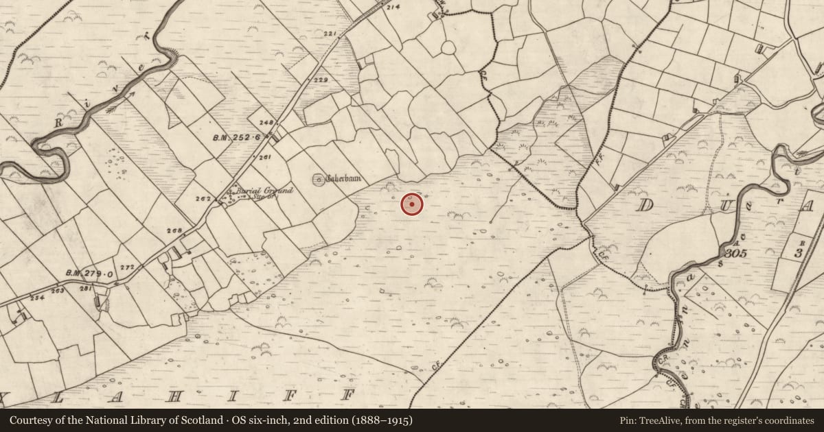 Ordnance Survey six-inch map, 2nd edition (1888–1915) covering the location of Fulacht fia, Coill Bhaile Uí Fhlaithimh, County Kerry, with a pin at the register's coordinates
