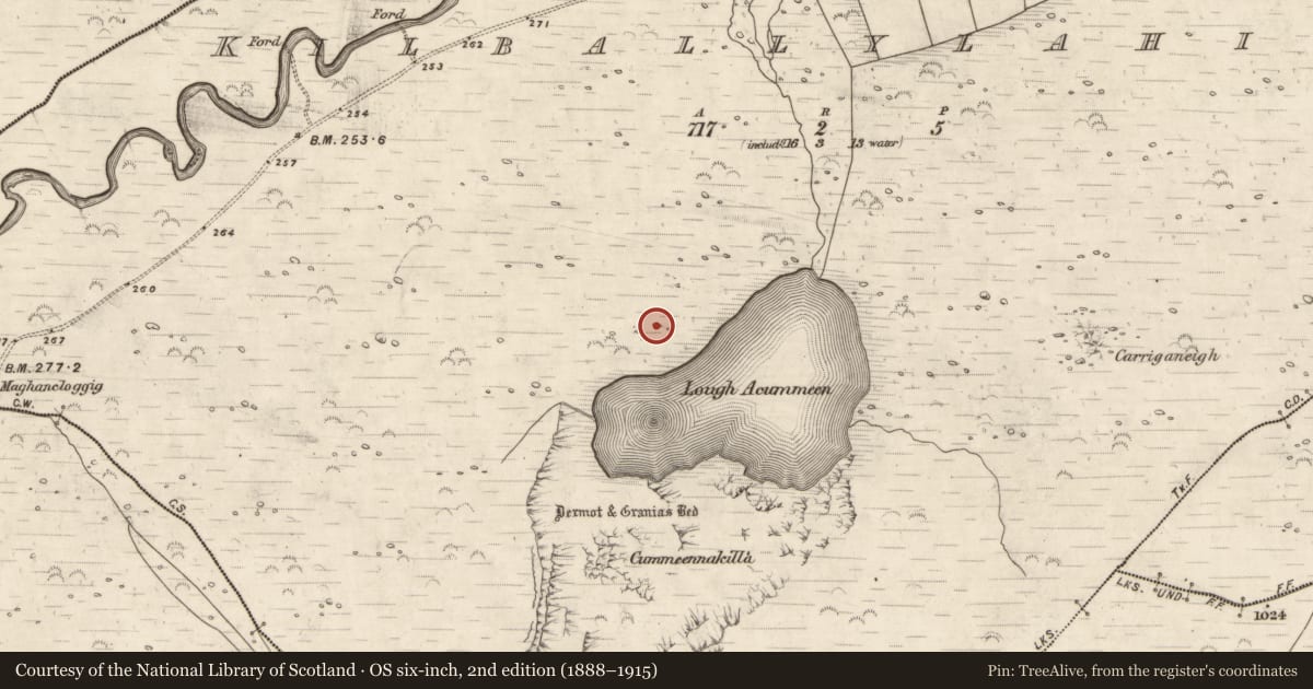 Ordnance Survey six-inch map, 2nd edition (1888–1915) covering the location of Hut site, Coill Bhaile Uí Fhlaithimh, County Kerry, with a pin at the register's coordinates