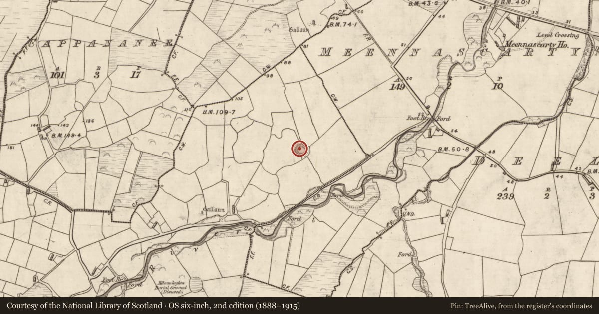 Ordnance Survey six-inch map, 2nd edition (1888–1915) covering the location of Hut site, Duagh, County Kerry, with a pin at the register's coordinates