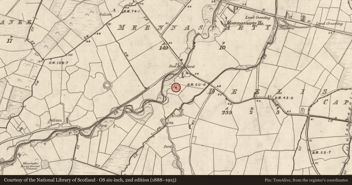 Ordnance Survey six-inch map, 2nd edition (1888–1915) covering the location of Souterrain, Meennascarty, County Kerry, with a pin at the register's coordinates