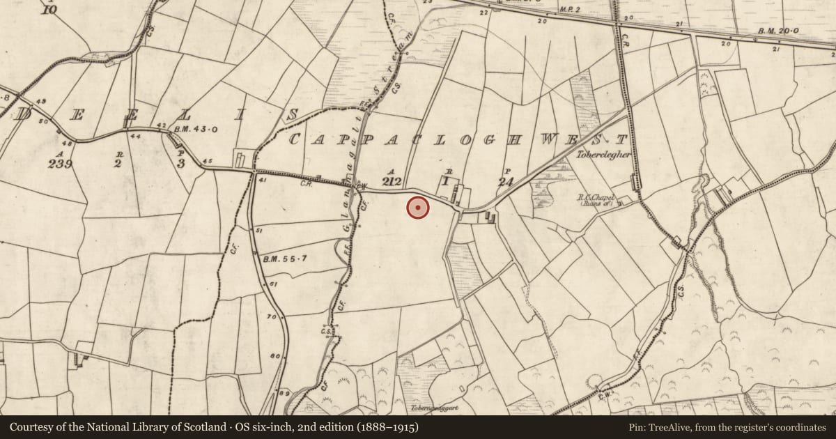 Ordnance Survey six-inch map, 2nd edition (1888–1915) covering the location of Ringfort - rath, Cappaclogh West, County Kerry, with a pin at the register's coordinates