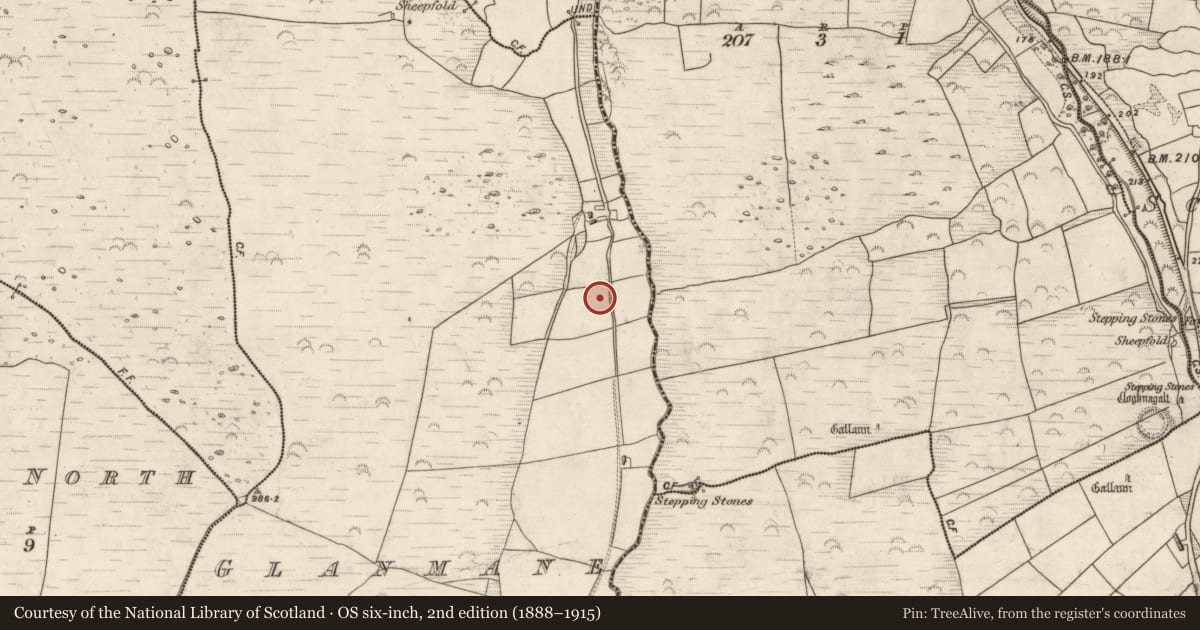 Ordnance Survey six-inch map, 2nd edition (1888–1915) covering the location of Enclosure, Glanmane, County Kerry, with a pin at the register's coordinates