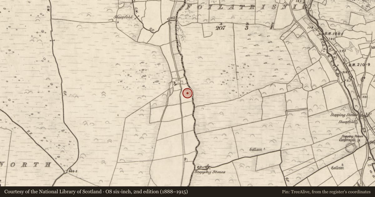 Ordnance Survey six-inch map, 2nd edition (1888–1915) covering the location of Fulacht fia, Glanmane, County Kerry, with a pin at the register's coordinates