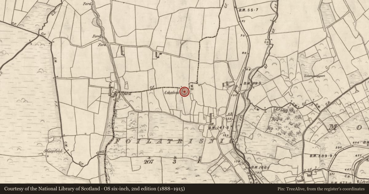 Ordnance Survey six-inch map, 2nd edition (1888–1915) covering the location of Souterrain, Foilatrisnig, County Kerry, with a pin at the register's coordinates