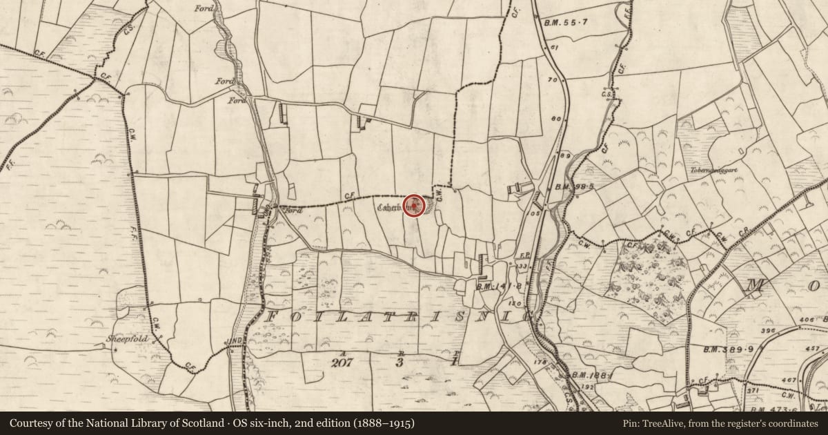 Ordnance Survey six-inch map, 2nd edition (1888–1915) covering the location of Hut site, Foilatrisnig, County Kerry, with a pin at the register's coordinates