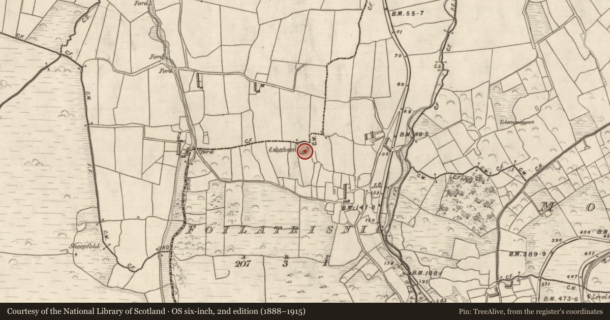Ordnance Survey six-inch map, 2nd edition (1888–1915) covering the location of Hut site, Foilatrisnig, County Kerry, with a pin at the register's coordinates
