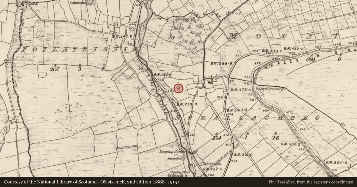 Ordnance Survey six-inch map, 2nd edition (1888–1915) covering the location of Ringfort - cashel, Scrallaghbeg, County Kerry, with a pin at the register's coordinates