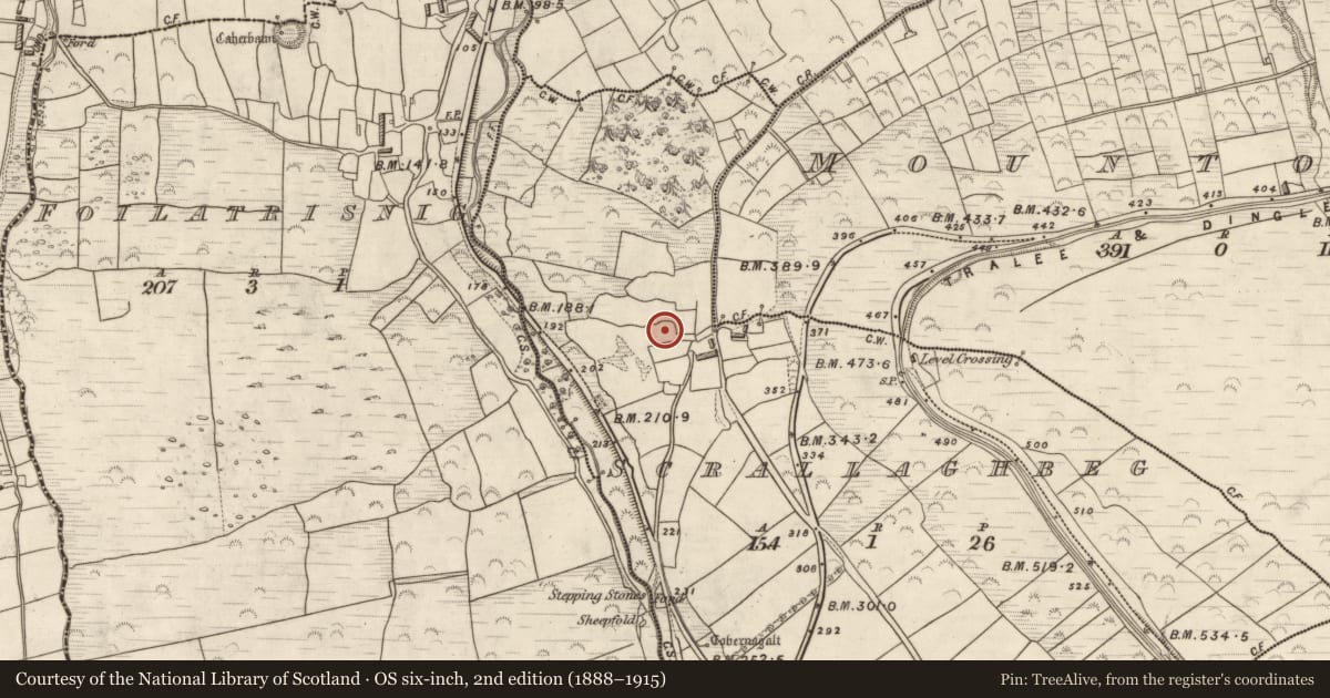 Ordnance Survey six-inch map, 2nd edition (1888–1915) covering the location of Enclosure, Scrallaghbeg, County Kerry, with a pin at the register's coordinates